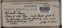 Image Associated With the Occurence